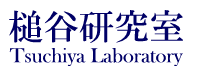 ƒJ Tsuchiya Laboratory